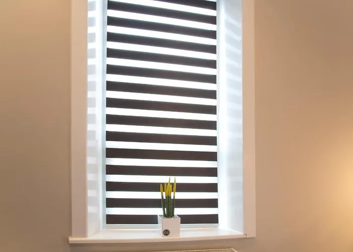 Blackbird Luxury Apartments Room 3